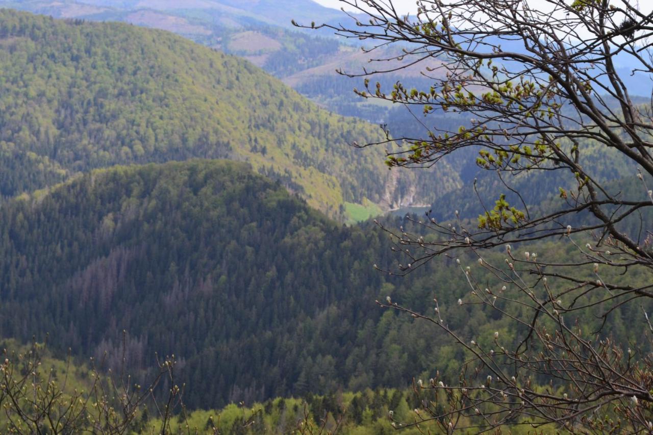 Penzion Thamasy Spišské Tomášovce Bagian luar foto