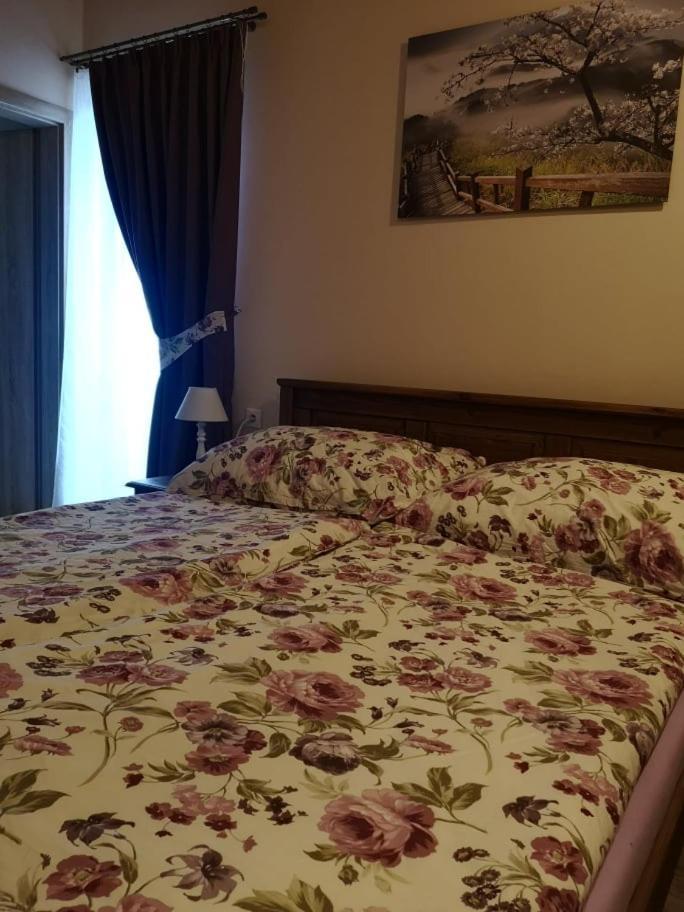 Penzion Thamasy Spišské Tomášovce Bagian luar foto