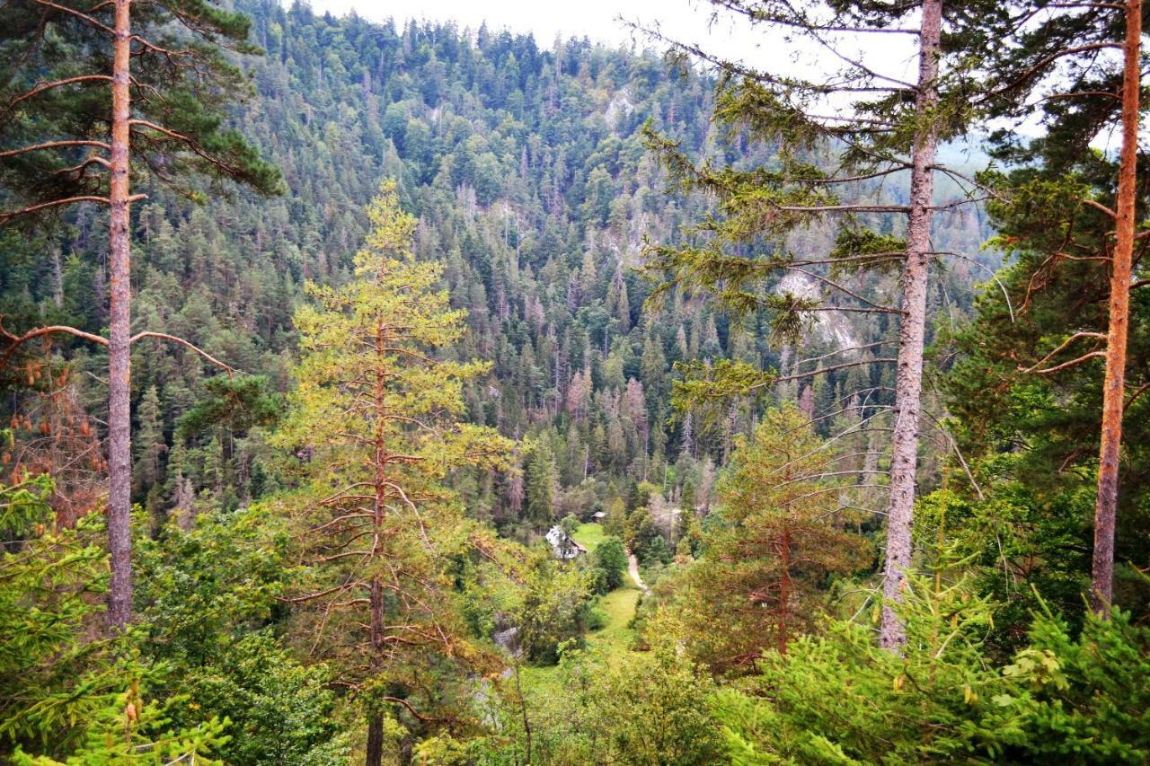 Penzion Thamasy Spišské Tomášovce Bagian luar foto
