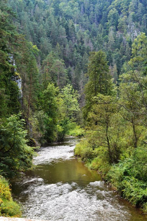 Penzion Thamasy Spišské Tomášovce Bagian luar foto